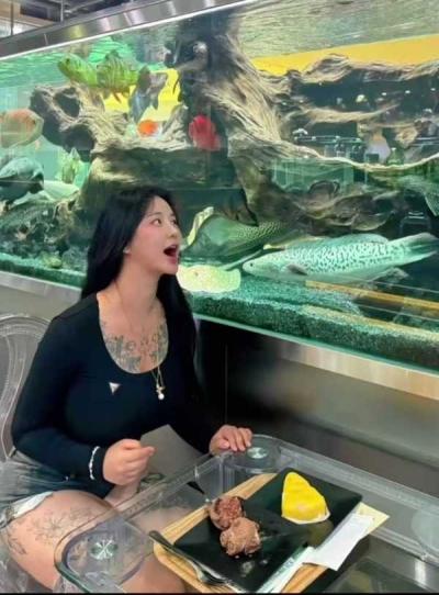 精彩照片